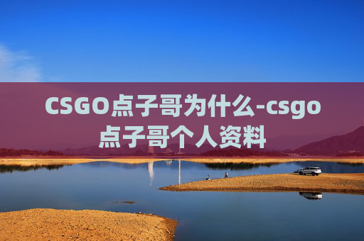 CSGO点子哥为什么-csgo点子哥个人资料