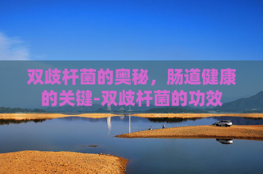 双歧杆菌的奥秘，肠道健康的关键-双歧杆菌的功效