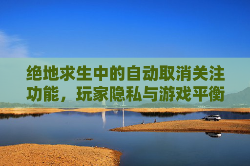 绝地求生中的自动取消关注功能，玩家隐私与游戏平衡的微妙平衡-PUBG取消就进游戏
