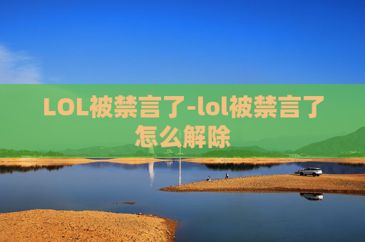LOL被禁言了-lol被禁言了怎么解除