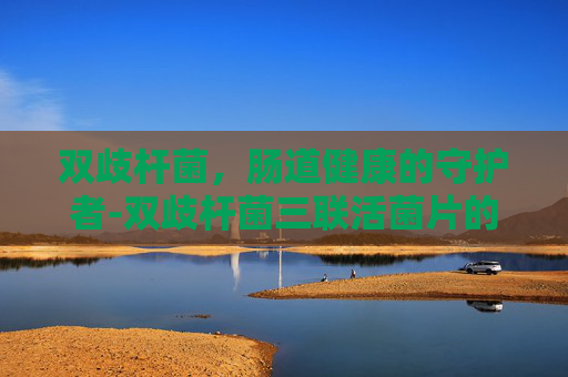 双歧杆菌，肠道健康的守护者-双歧杆菌三联活菌片的功效与作用能放冰箱多久?