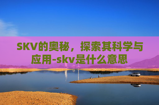 SKV的奥秘，探索其科学与应用-skv是什么意思
