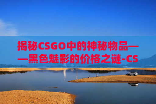 揭秘CSGO中的神秘物品——黑色魅影的价格之谜-CSGO黑色魅影多少钱