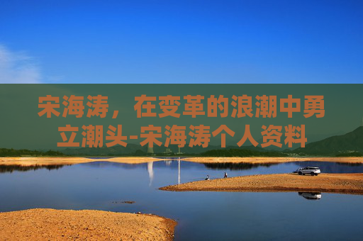 宋海涛，在变革的浪潮中勇立潮头-宋海涛个人资料