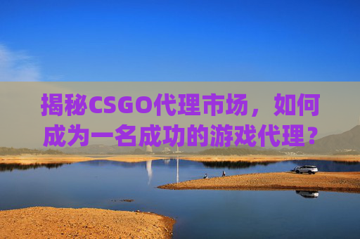 揭秘CSGO代理市场，如何成为一名成功的游戏代理？-csgo是哪个公司代理的