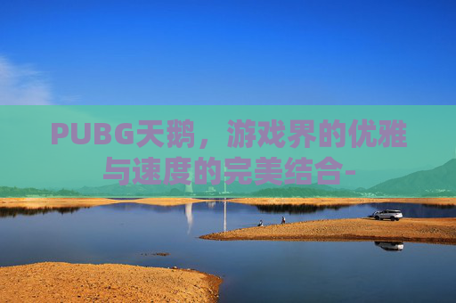 PUBG天鹅，游戏界的优雅与速度的完美结合-