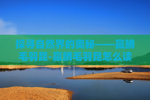 探寻自然界的奥秘——蠃鳞毛羽昆-蠃鳞毛羽昆怎么读