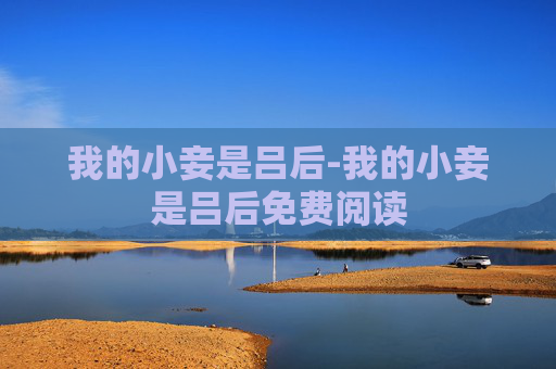我的小妾是吕后-我的小妾是吕后免费阅读