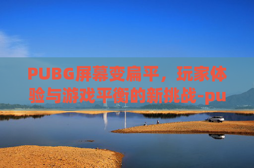 PUBG屏幕变扁平，玩家体验与游戏平衡的新挑战-pubg扁平视角