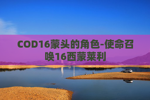 COD16蒙头的角色-使命召唤16西蒙莱利