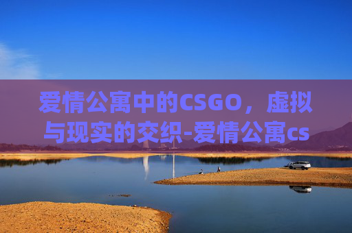 爱情公寓中的CSGO，虚拟与现实的交织-爱情公寓csgo表情包