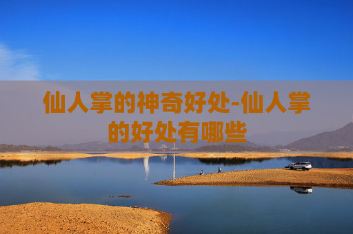 仙人掌的神奇好处-仙人掌的好处有哪些