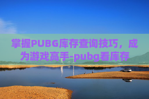 掌握PUBG库存查询技巧，成为游戏高手-pubg看库存