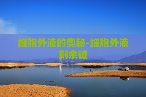 细胞外液的奥秘-细胞外液剩余碱
