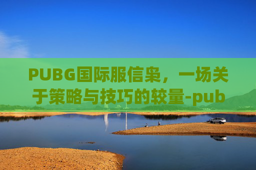 PUBG国际服信枭，一场关于策略与技巧的较量-pub据国际服