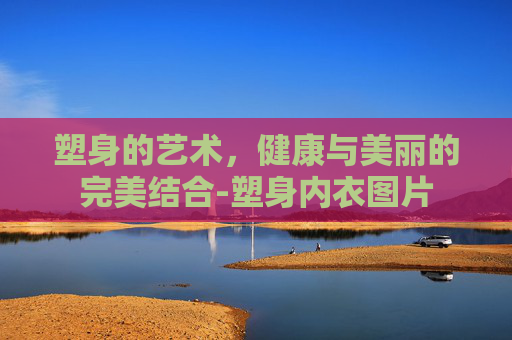塑身的艺术，健康与美丽的完美结合-塑身内衣图片