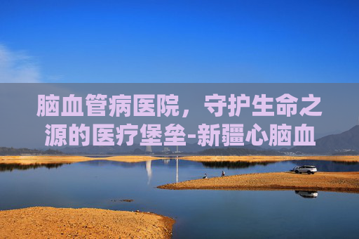 脑血管病医院，守护生命之源的医疗堡垒-新疆心脑血管病医院