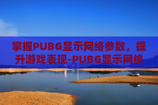 掌握PUBG显示网络参数，提升游戏表现-PUBG显示网络不稳定