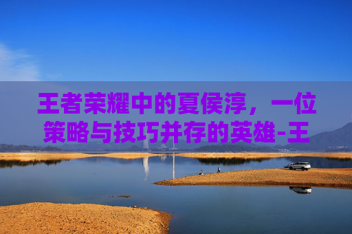王者荣耀中的夏侯淳，一位策略与技巧并存的英雄-王者荣耀夏侯惇打法和技巧
