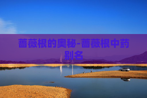 蔷薇根的奥秘-蔷薇根中药别名