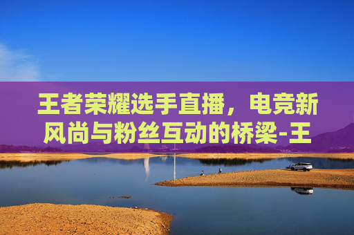 王者荣耀选手直播，电竞新风尚与粉丝互动的桥梁-王者荣耀选手直播不见了