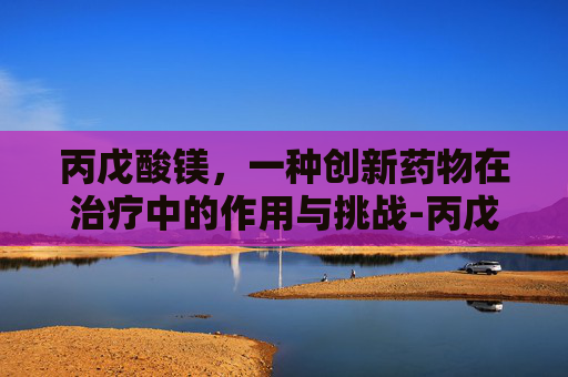 丙戊酸镁，一种创新药物在治疗中的作用与挑战-丙戊酸镁说明书