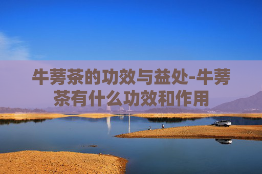牛蒡茶的功效与益处-牛蒡茶有什么功效和作用