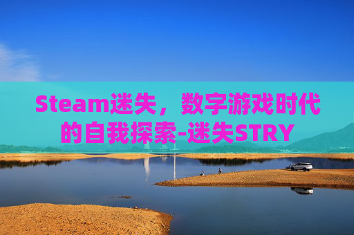 Steam迷失，数字游戏时代的自我探索-迷失STRY