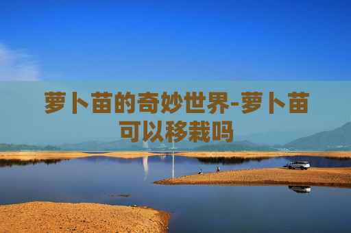 萝卜苗的奇妙世界-萝卜苗可以移栽吗