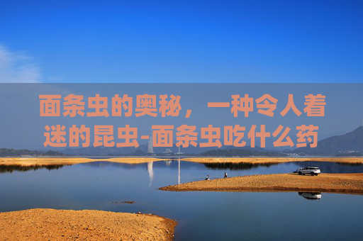 面条虫的奥秘，一种令人着迷的昆虫-面条虫吃什么药好