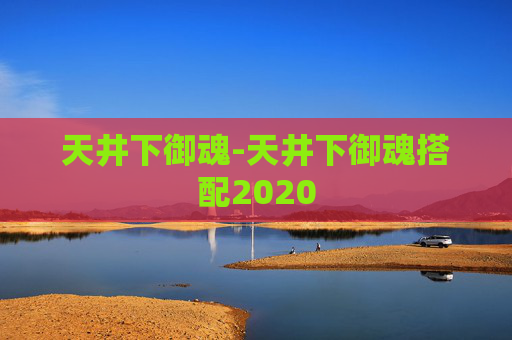 天井下御魂-天井下御魂搭配2020