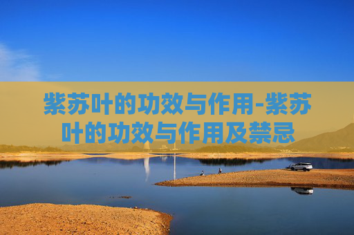 紫苏叶的功效与作用-紫苏叶的功效与作用及禁忌