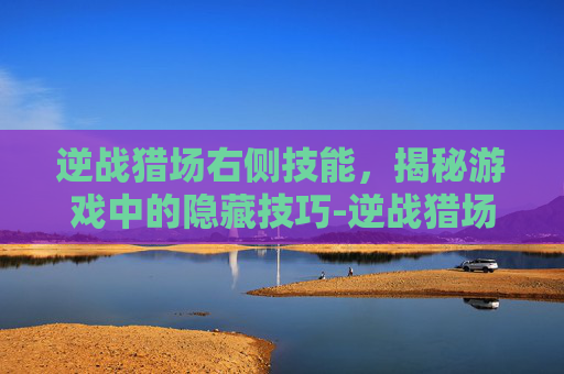 逆战猎场右侧技能，揭秘游戏中的隐藏技巧-逆战猎场技能图标解释
