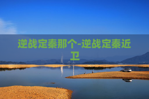 逆战定秦那个-逆战定秦近卫