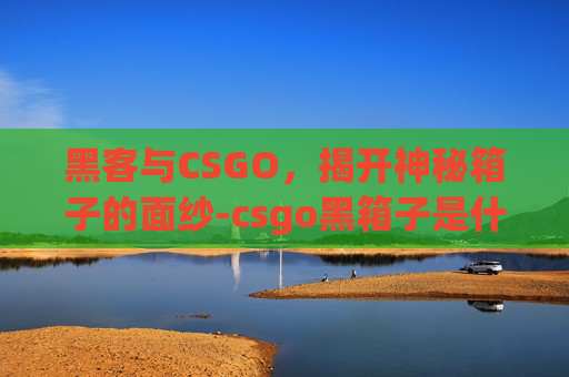 黑客与CSGO，揭开神秘箱子的面纱-csgo黑箱子是什么