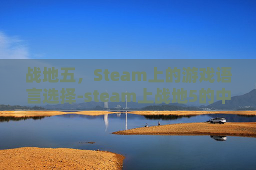 战地五，Steam上的游戏语言选择-steam上战地5的中文名称