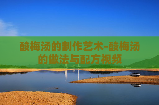 酸梅汤的制作艺术-酸梅汤的做法与配方视频