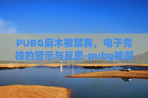 PUBG麻木被禁赛，电子竞技的警示与反思-pubg被游戏封禁了怎么办