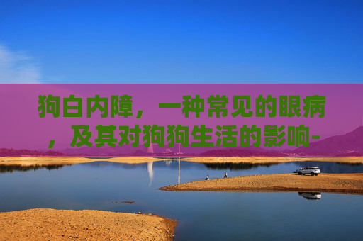 狗白内障，一种常见的眼病，及其对狗狗生活的影响-狗白内障怎么治