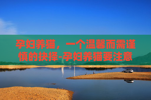 孕妇养猫，一个温馨而需谨慎的抉择-孕妇养猫要注意什么