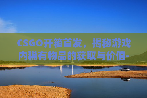 CSGO开箱首发，揭秘游戏内稀有物品的获取与价值-csgo开箱价值详解
