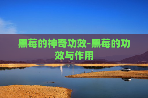 黑莓的神奇功效-黑莓的功效与作用
