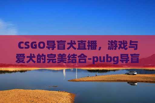 CSGO导盲犬直播，游戏与爱犬的完美结合-pubg导盲犬