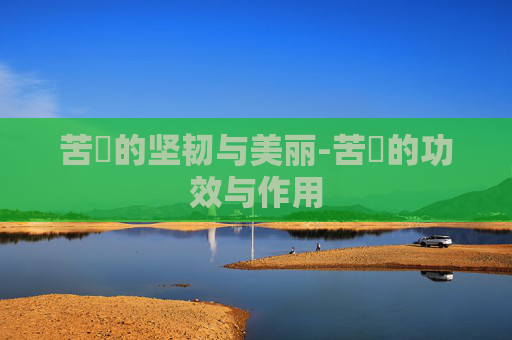 苦蘵的坚韧与美丽-苦蘵的功效与作用