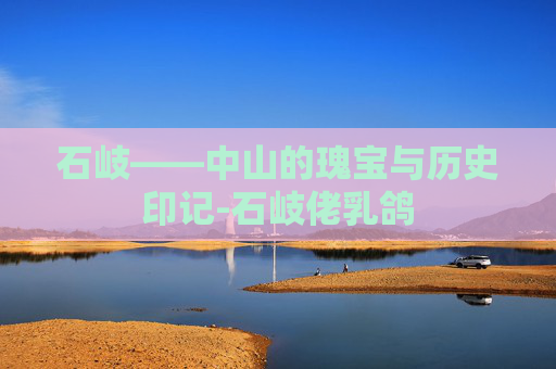 石岐——中山的瑰宝与历史印记-石岐佬乳鸽