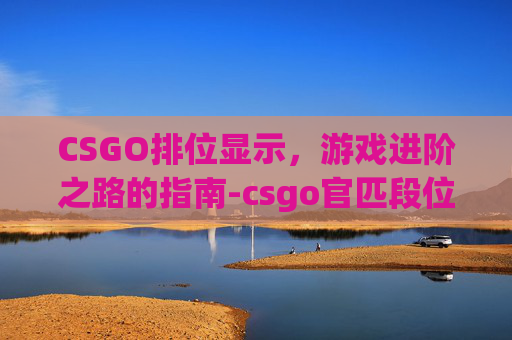 CSGO排位显示，游戏进阶之路的指南-csgo官匹段位怎么不显示