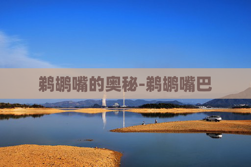 鹈鹕嘴的奥秘-鹈鹕嘴巴 鹈鹕嘴的奥秘-鹈鹕嘴巴