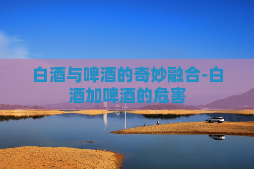 白酒与啤酒的奇妙融合-白酒加啤酒的危害 白酒与啤酒的奇妙融合-白酒加啤酒的危害