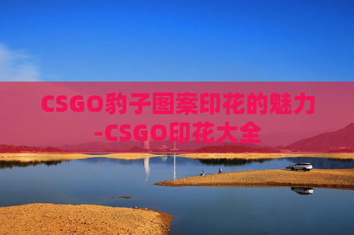 CSGO豹子图案印花的魅力-CSGO印花大全