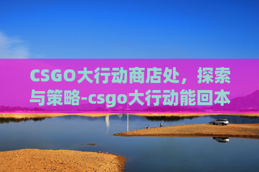 CSGO大行动商店处，探索与策略-csgo大行动能回本吗